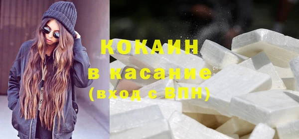 соль ск Алексин