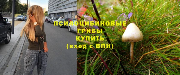 соль ск Алексин