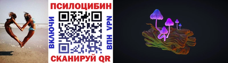Купить где  Южно-Сахалинск  Псилоцибиновые грибы Psilocybine cubensis 